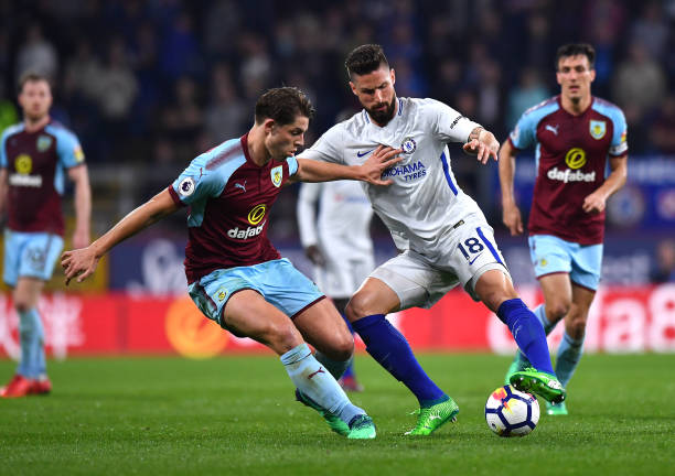 他對動物的 他對動物的