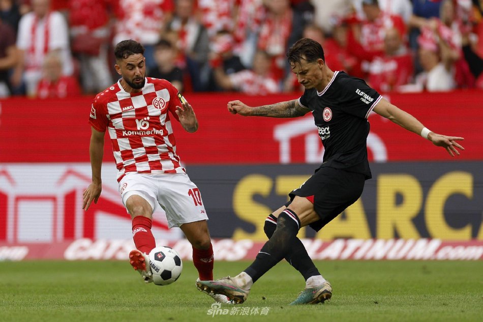 团队协作与 团队协作与